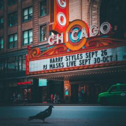 Transforming Chicago’s Most Famous Street